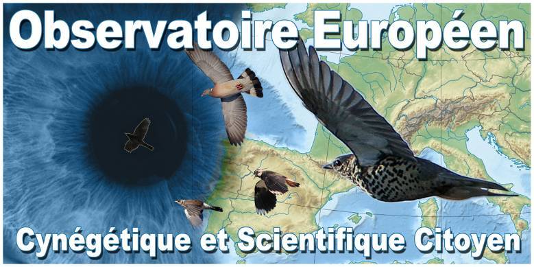 logo de l'observatoire europeen cynegetique et scientifique citoyen