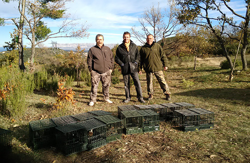 le député lambert a la découverte de la chasse à la glu