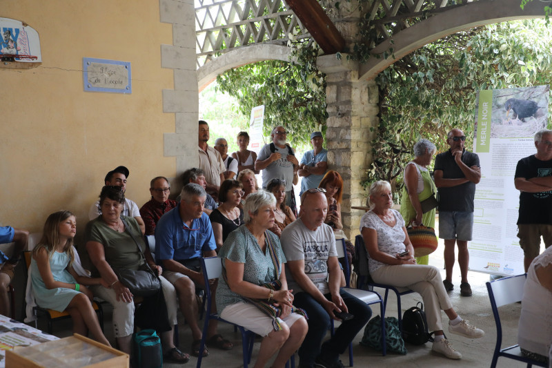 concours d'imitation des chants d'oiseaux ongles 2022